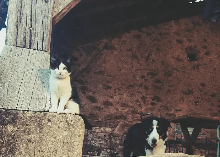 Le Goire At Le Maingaud Saulgond