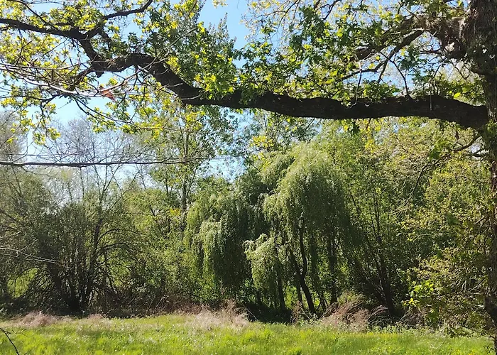 Le Goire At Le Maingaud