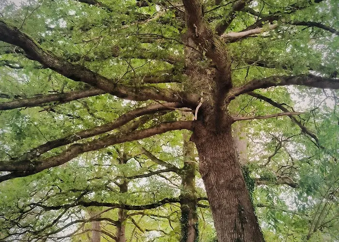 Сasa de vacaciones Le Goire At Le Maingaud